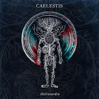 Ncaelestis
