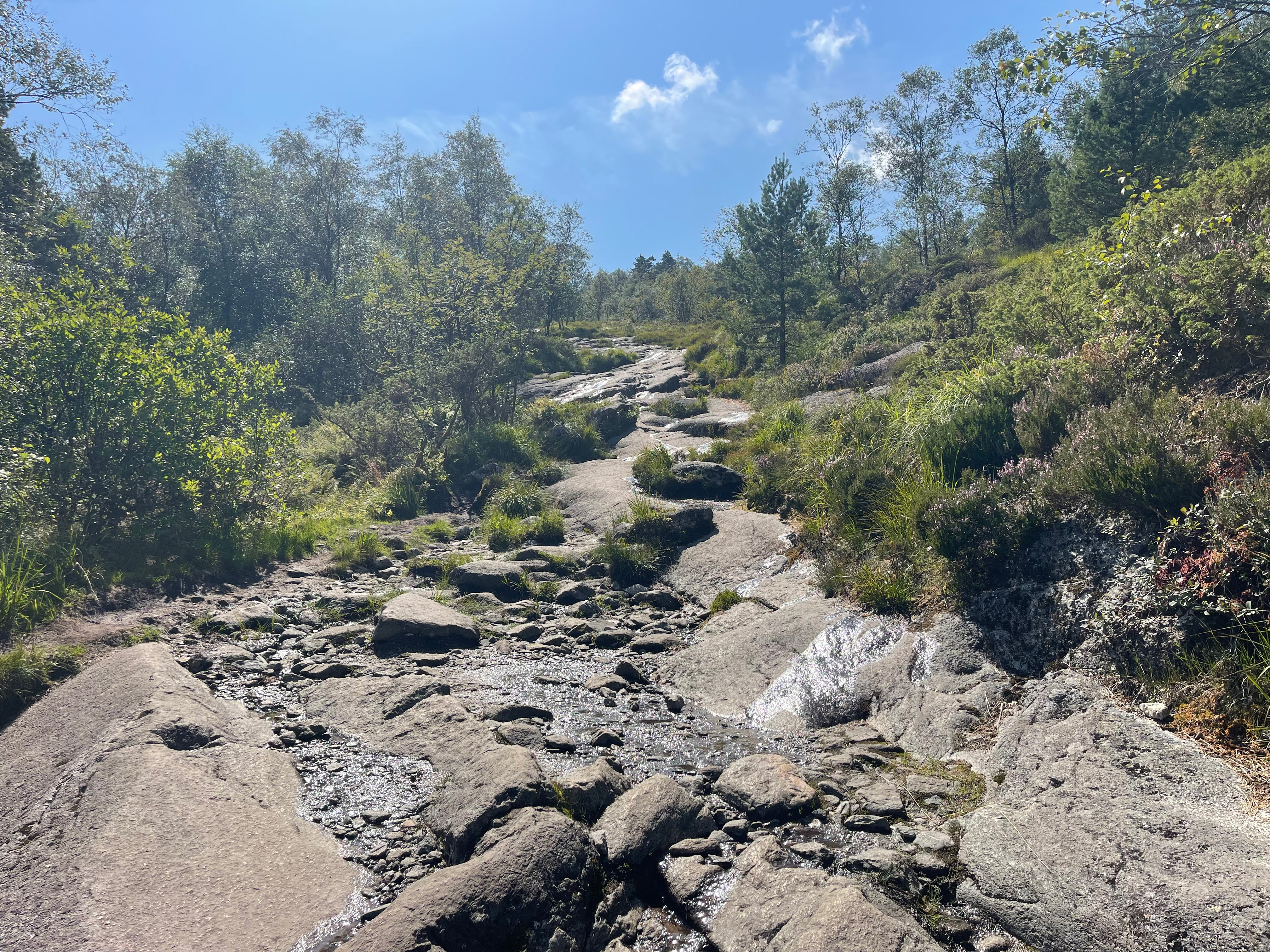 fotoMontagneBergen_2024_1