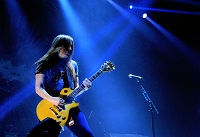 fotoxcarcass