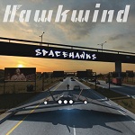 cophawkwind2