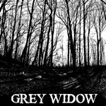 copGREYWIDOW