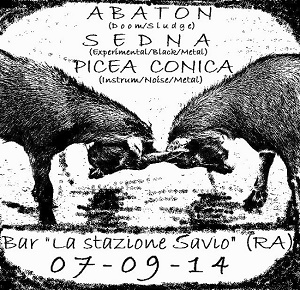 Npicea
