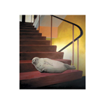 copCircle (ex-Falcon)