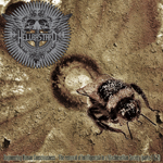 7 Jacket (Glue Pocket - No Spine) [OB-GD17-001]