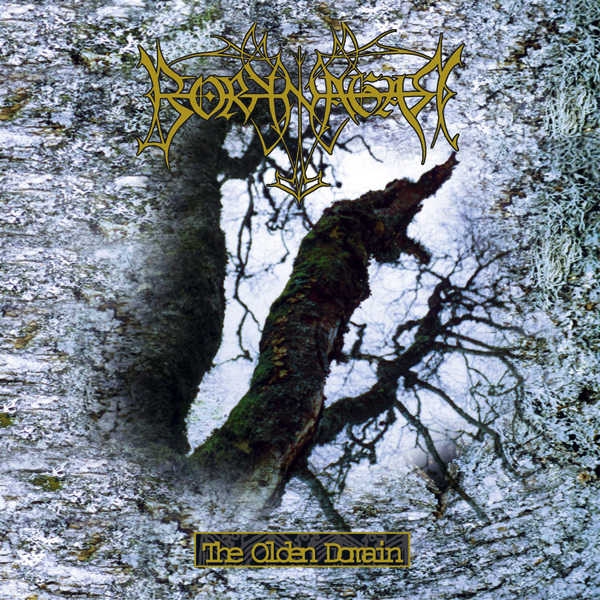 nBorknagar The-Olden-Domain_P18R
