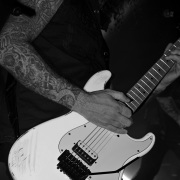 fotoEvergrey04806