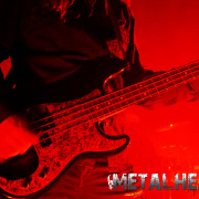 fotoEvergrey04811