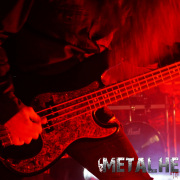 fotoEvergrey04813
