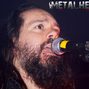 fotoEvergrey04853