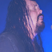 fotoEvergrey04891