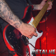 fotoEvergrey04929