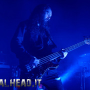 fotoEvergrey04949
