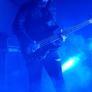 fotoEvergrey04952