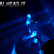 fotoEvergrey04958