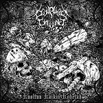 copSCOLOPENDRACINGULATA