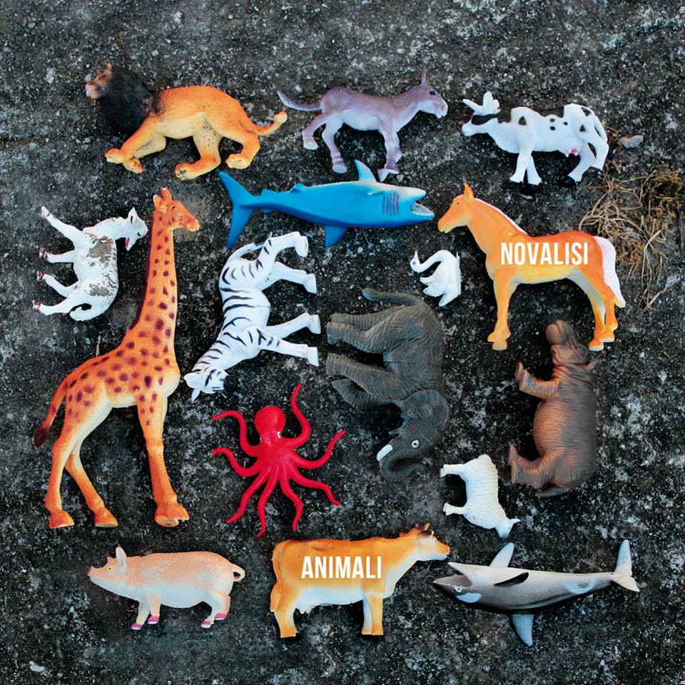 nNOVALISI - Animali