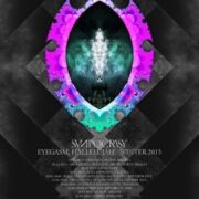 locandinaSunpocrisy20151128