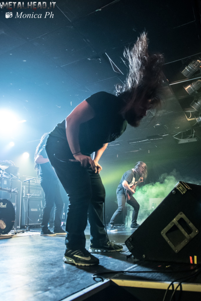 fotoAbiotic_8_3_2016_4002