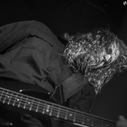 fotoCattleDecap_8_3_2016_4318