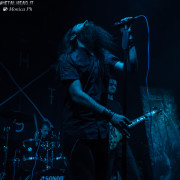fotoShoresNull_20160219_0964