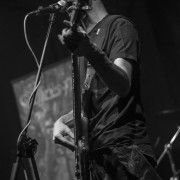 fotoShoresNull_20160219_1218