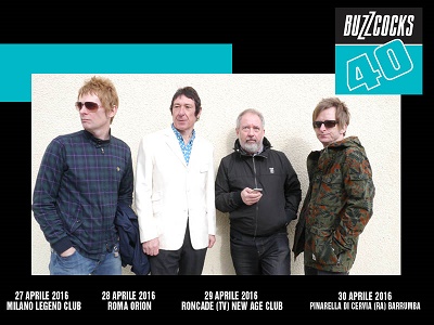 Nbuzz26416
