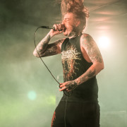 fotoPighead_20160327_1669