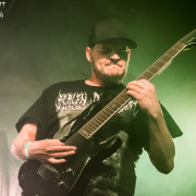 fotoPighead_20160327_1677