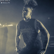 fotoPighead_20160327_1683