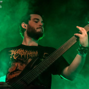 fotoPighead_20160327_1703