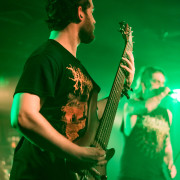 fotoPighead_20160327_1712