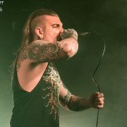 fotoPighead_20160327_1723