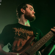 fotoPighead_20160327_1728