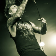 fotoPighead_20160327_1730