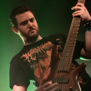 fotoPighead_20160327_1734