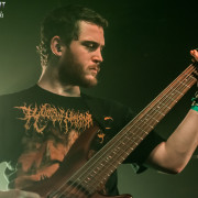 fotoPighead_20160327_1740