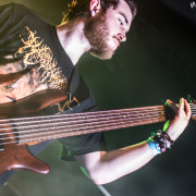 fotoPighead_20160327_1745