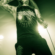 fotoPighead_20160327_1747