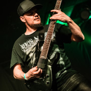 fotoPighead_20160327_1748