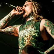 fotoPighead_20160327_1757