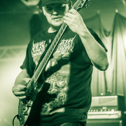 fotoPighead_20160327_1773