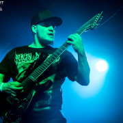 fotoPighead_20160327_1785