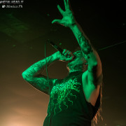 fotoPighead_20160327_1793