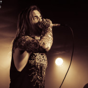 fotoPighead_20160327_1806