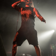 fotoPighead_20160327_1854