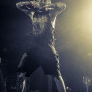 fotoPighead_20160327_1858