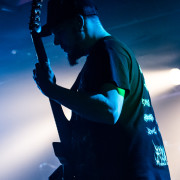 fotoPighead_20160327_1861