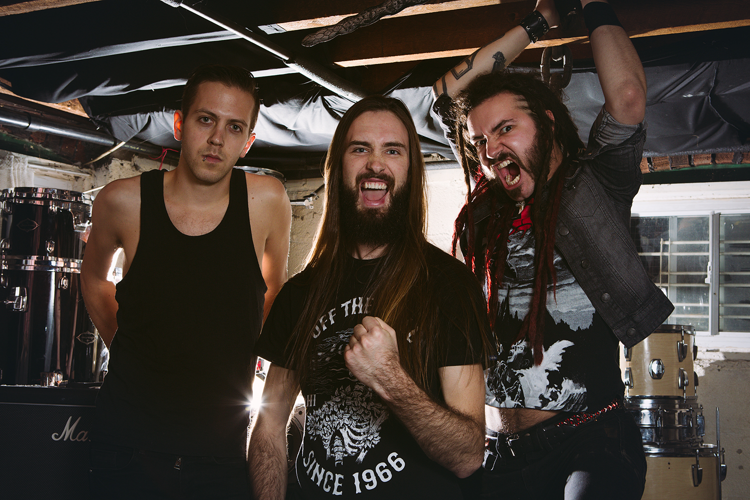 nblackabsinthewebres