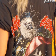 fotoIron20160726TS_08000