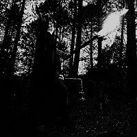 12Jacket_3mm_spine_all_sides.indd